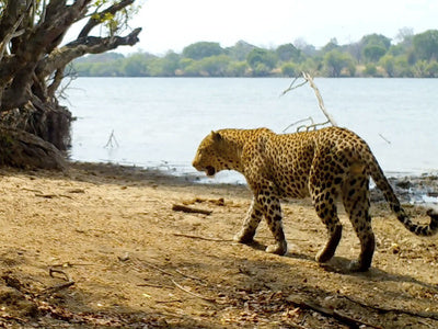 NatureSpy Year in Review 2023