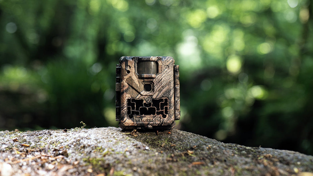 Ursus Nova Trail Camera: High-Performance Wildlife Monitoring
