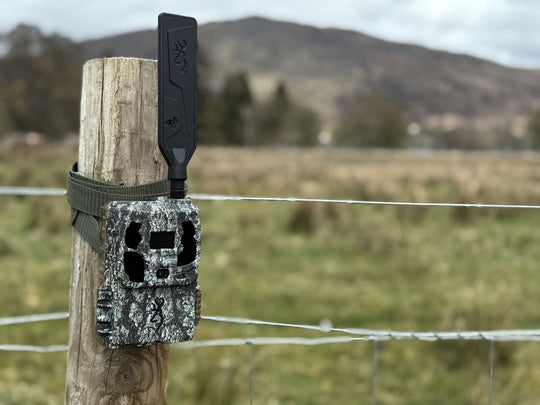 Browning Defender Pro Scout Max Solar on a post