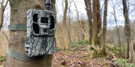 Browning Defender Pro Scout Max Solar on a tree