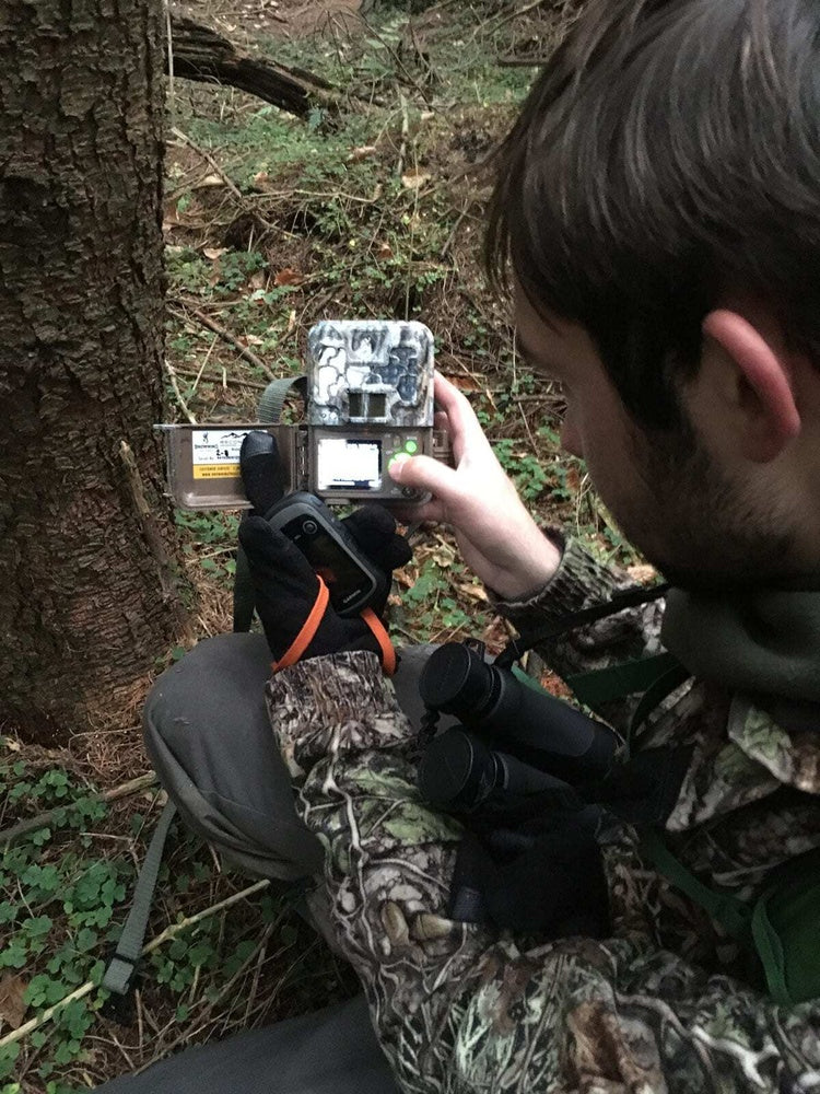 Getting the most out of camera traps on the pine marten project