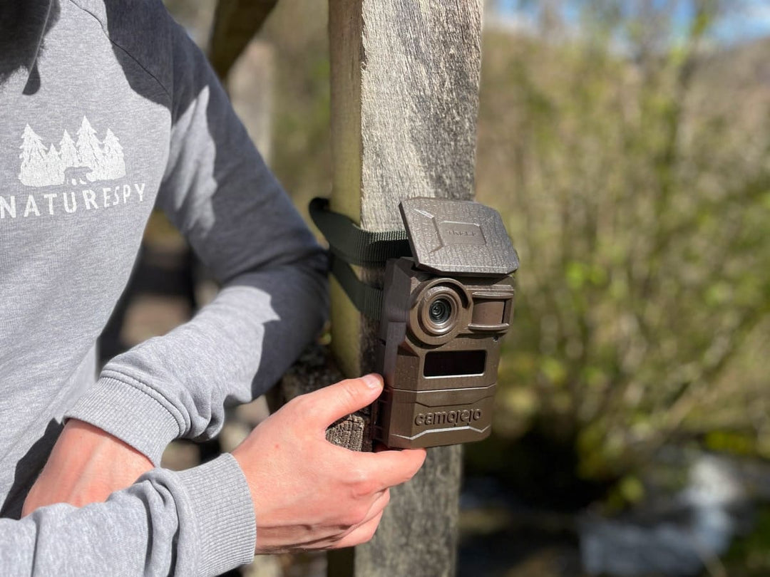 Beginners Guide to Wireless Trail Cameras