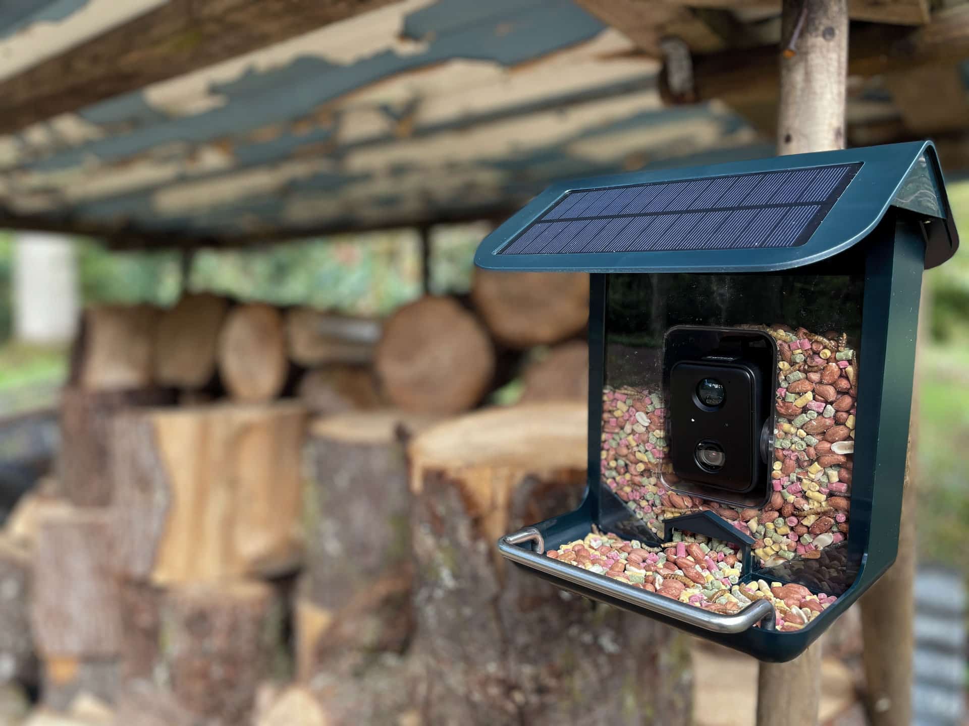 How to Set Up Our Bird Feeder Camera; the WiFi BirdCam Pro – NatureSpy