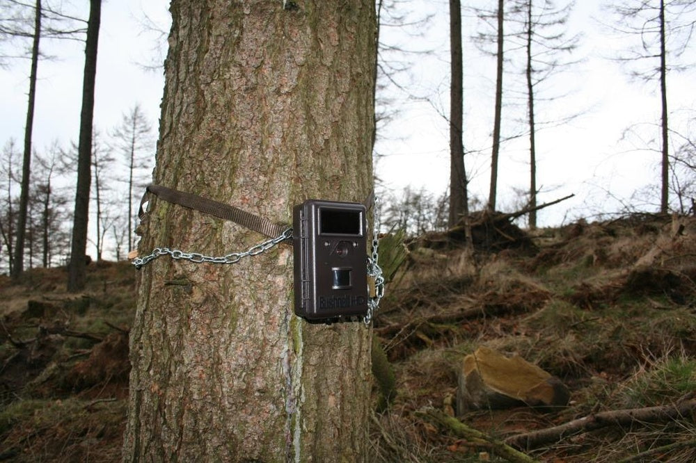 How do camera trap sensors work?