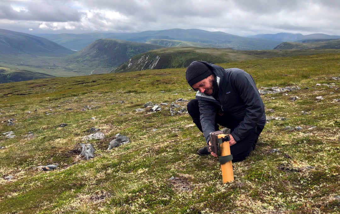Setting up a camera trap survey to monitor mountain hares