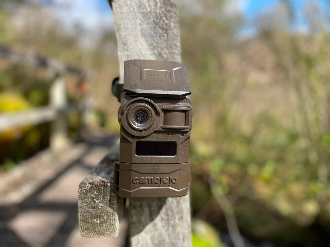 The best wildlife cameras for education and public engagement