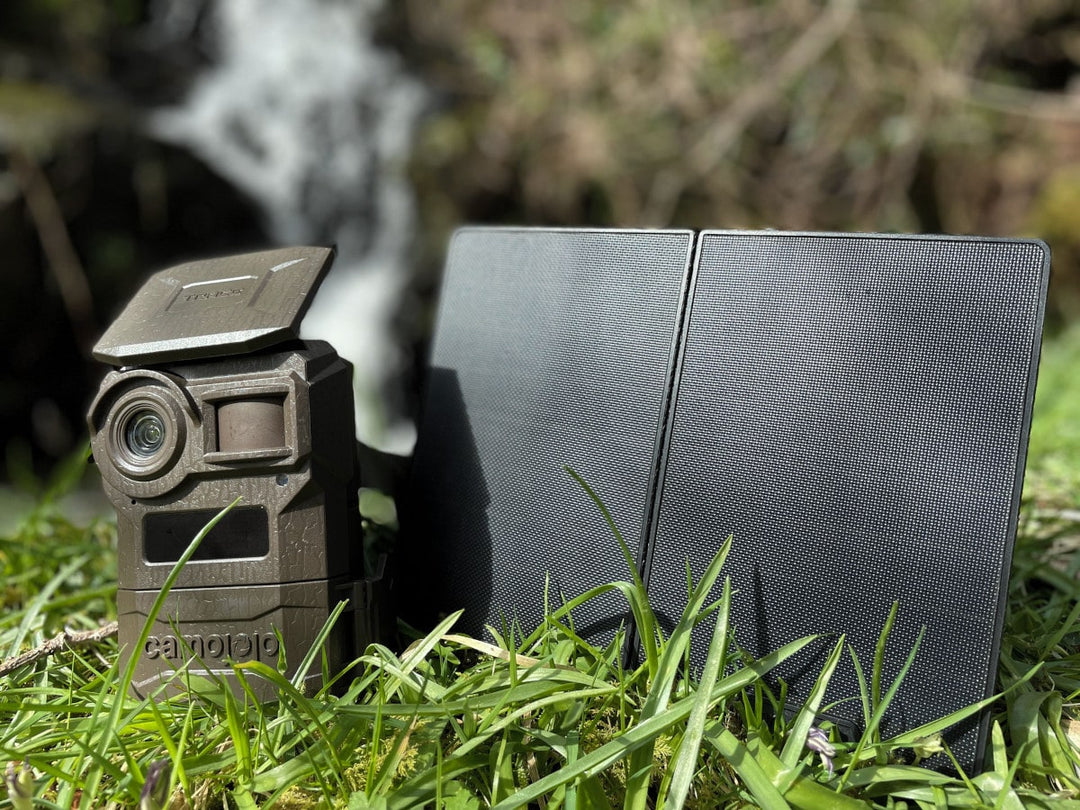 8 Tips for Better Solar Trail Camera Set Ups