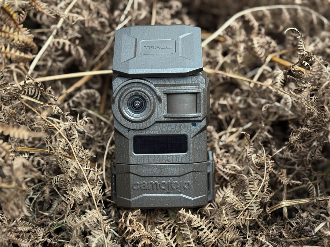 Autumn Wildlife Watching: Capture the Season with the Camojojo Trace