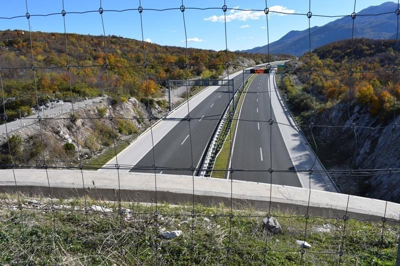 Safe travels! Wildlife crossings are an essential part of conservation