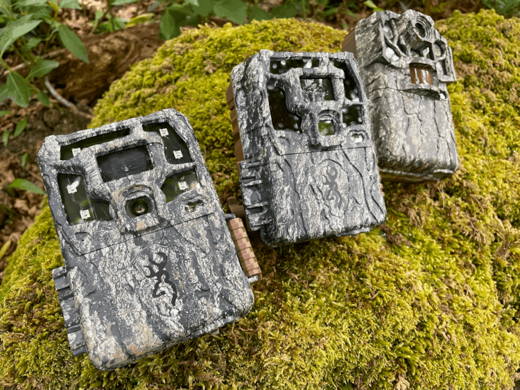 The Best Trail Cameras for Wildlife Research (2025)