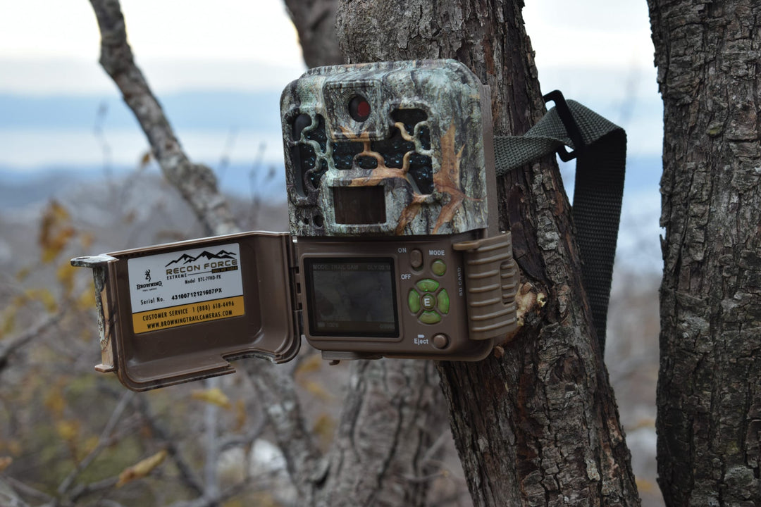 How Camera Traps Work