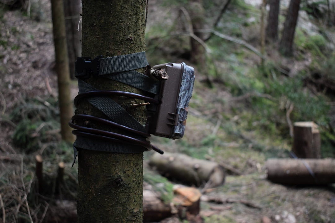 Securing your camera trap