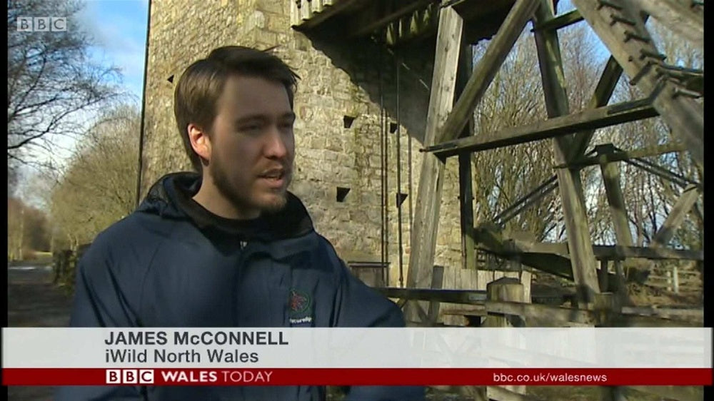 iWild project on BBC Wales News