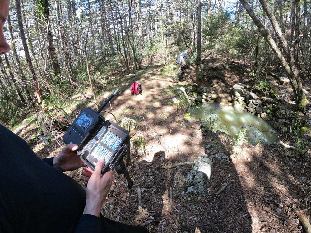 On the trail of wolves and lynx in Croatia