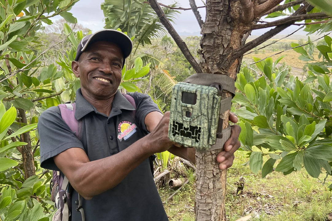 Bridging the Gaps: Planting Forest Corridors to Protect Madagascar’s Endangered Lemurs