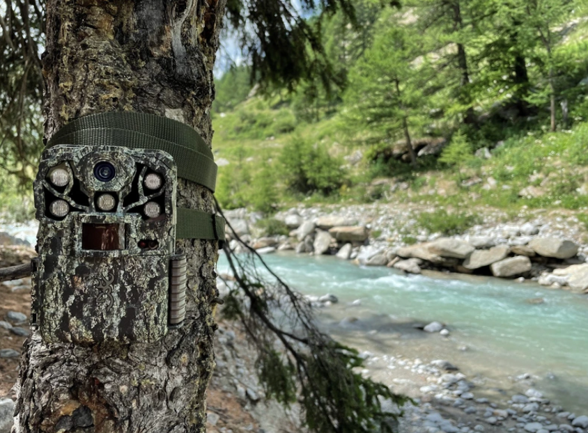 Deep Dive into the Browning Recon Force and Spec Ops Elite HP5 Trail Cameras