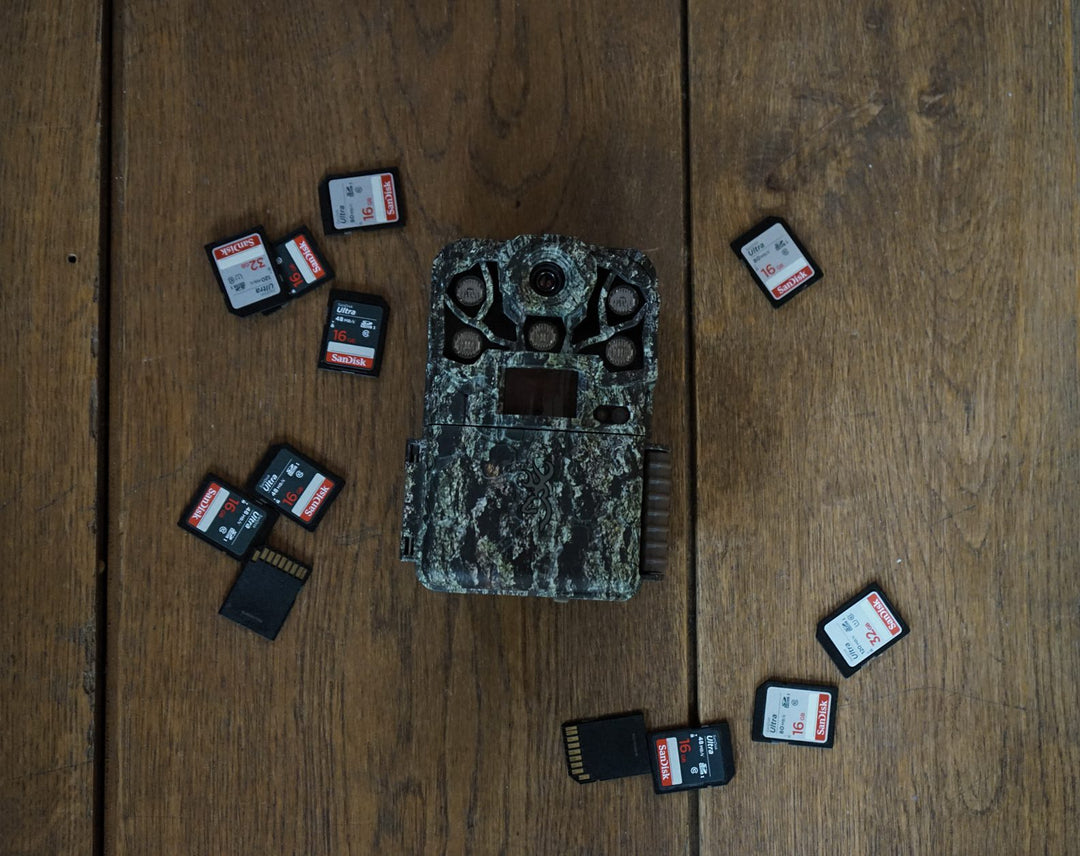 SD Cards & Trail Cameras