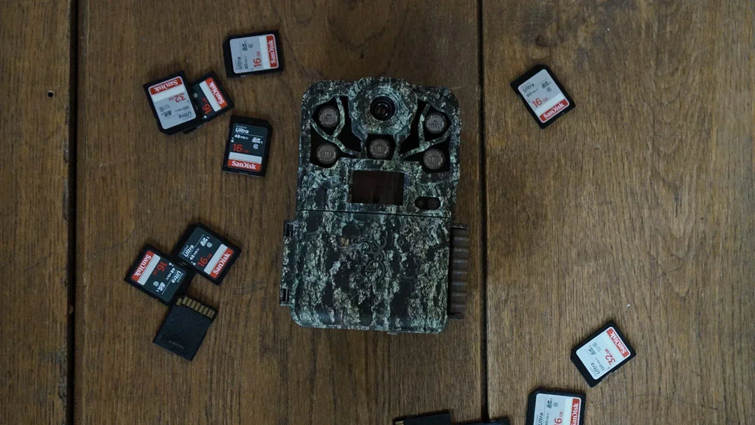 Our SD card pricing during the global memory shortage