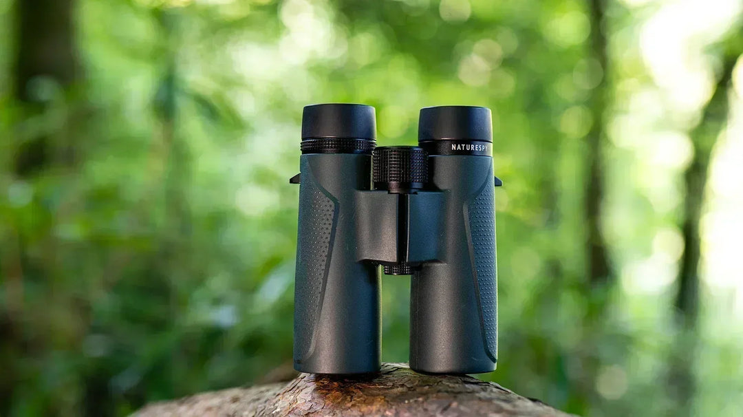 A New Contender for Best Wildlife Binoculars 2026