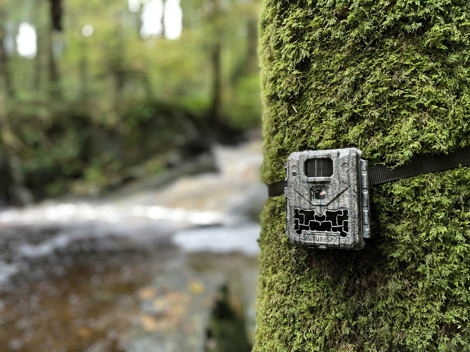 NatureSpy Ursus Trail Camera Tips