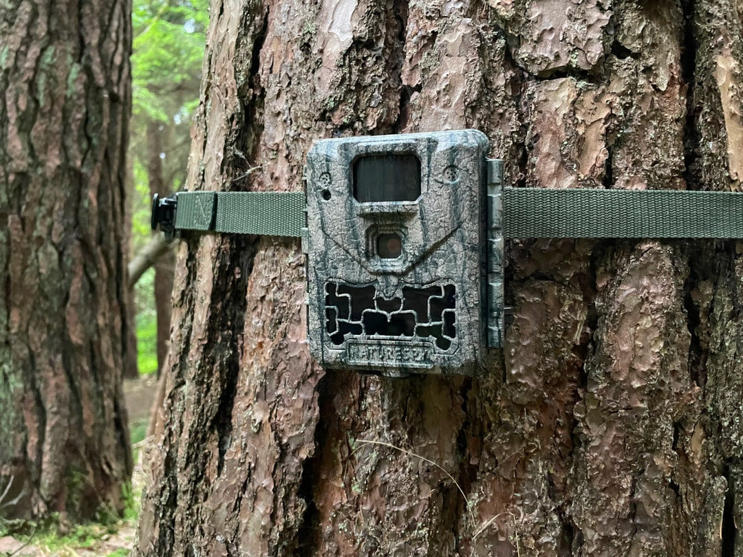 Best Settings for the NatureSpy Ursus Trail Camera