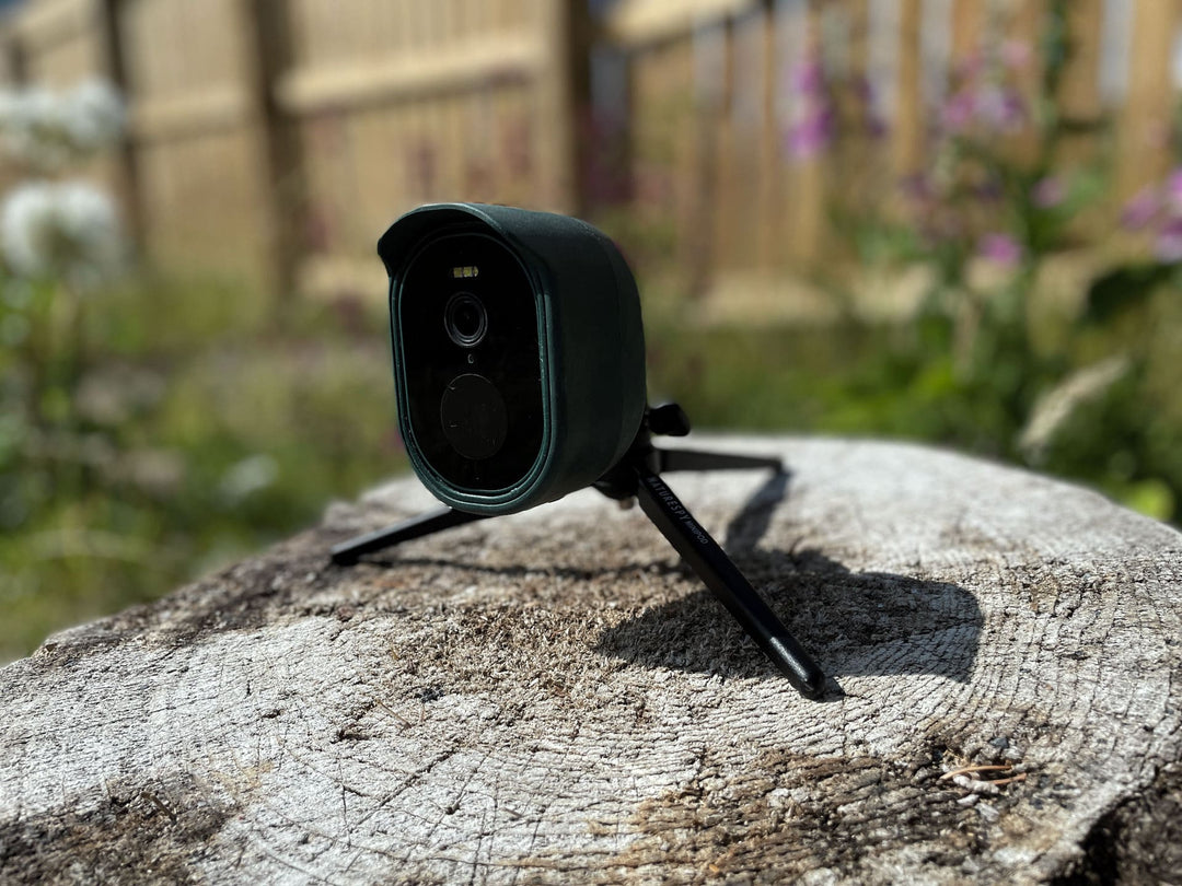 The Best Garden Wildlife Cameras in 2026