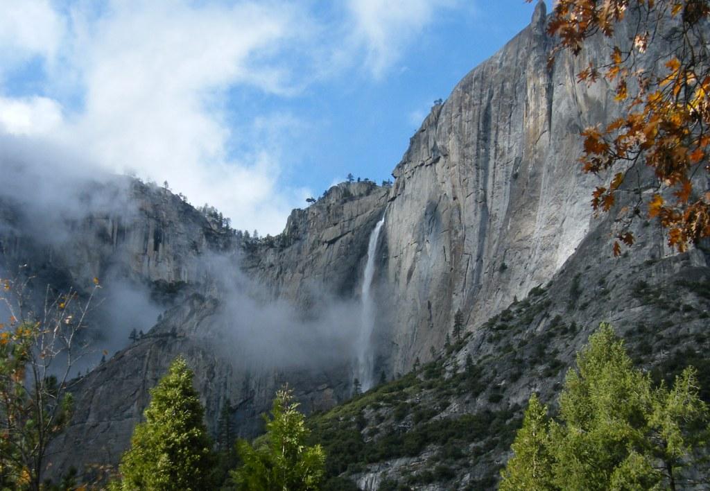 Yosemite - searching for bears... [2/3]