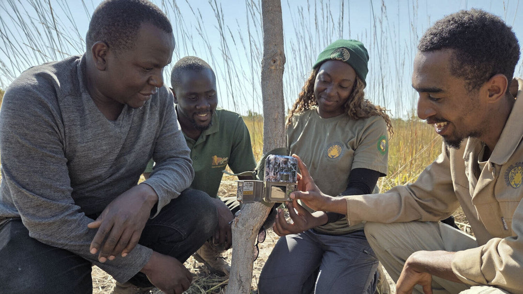 Growing Conservation Impact in the Greater Kafue Landscape