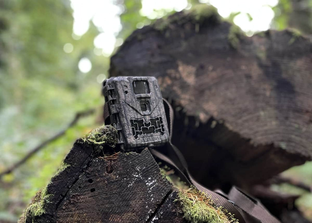 Deep Dive into the NatureSpy Ursus Trail Camera