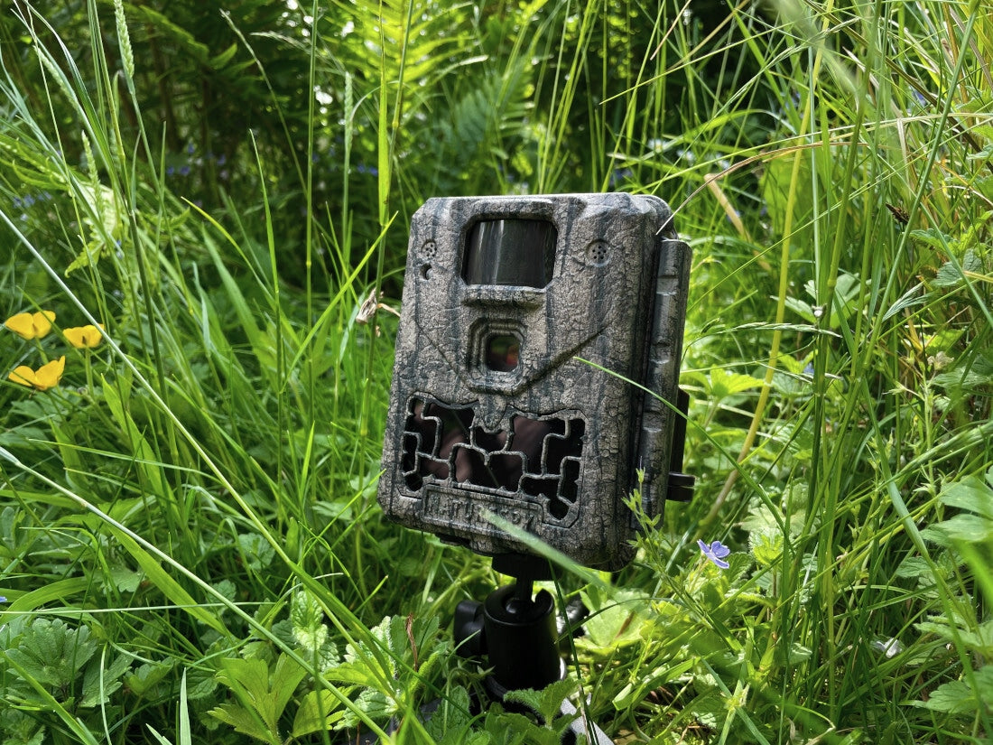 Avoid These 5 Common Mistakes When Using Trail Cameras – NatureSpy