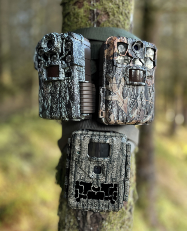 Bestselling wildlife camera traps