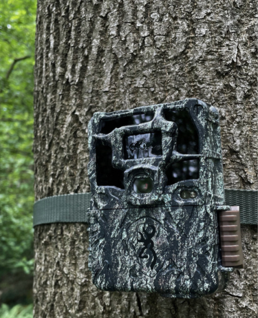 Best trail cameras for security