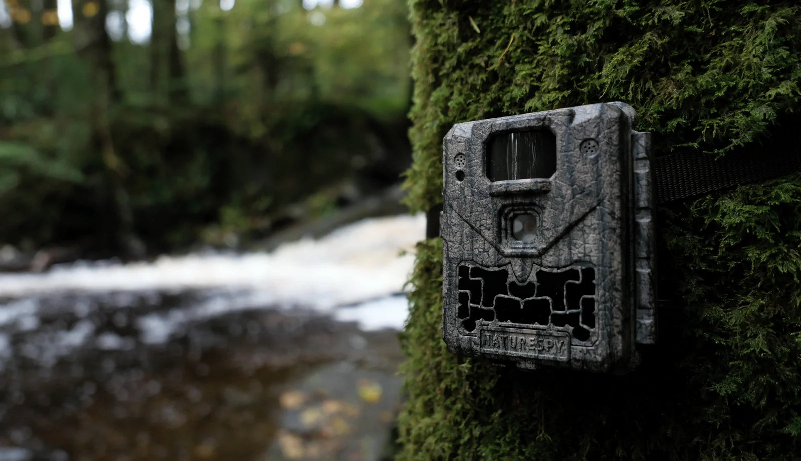 NatureSpy Wildlife Cameras