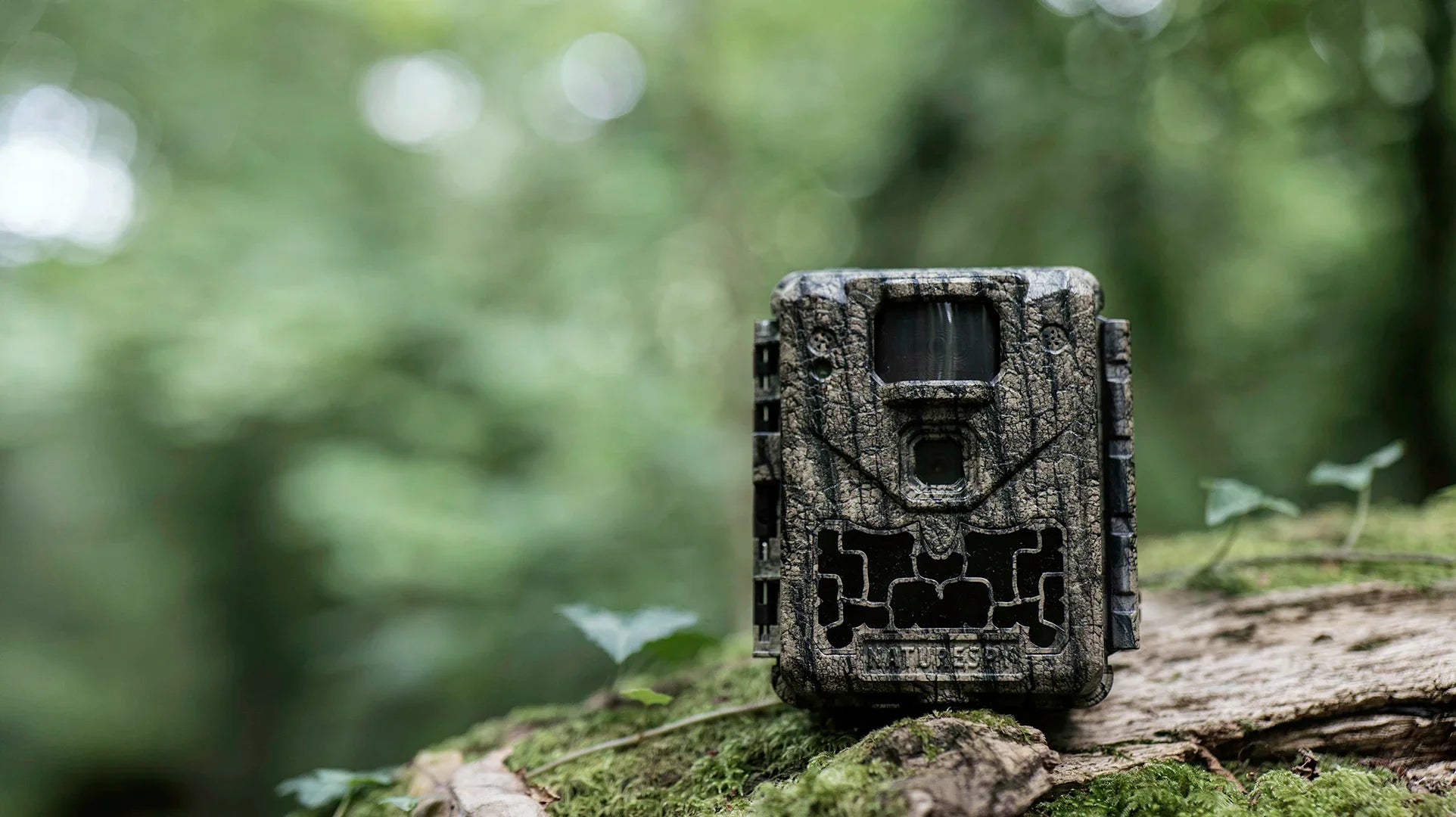 Best budget wildlife camera traps