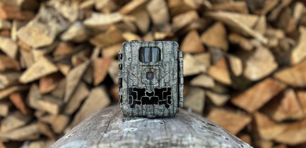 Wildlife Trail Cameras and camera traps