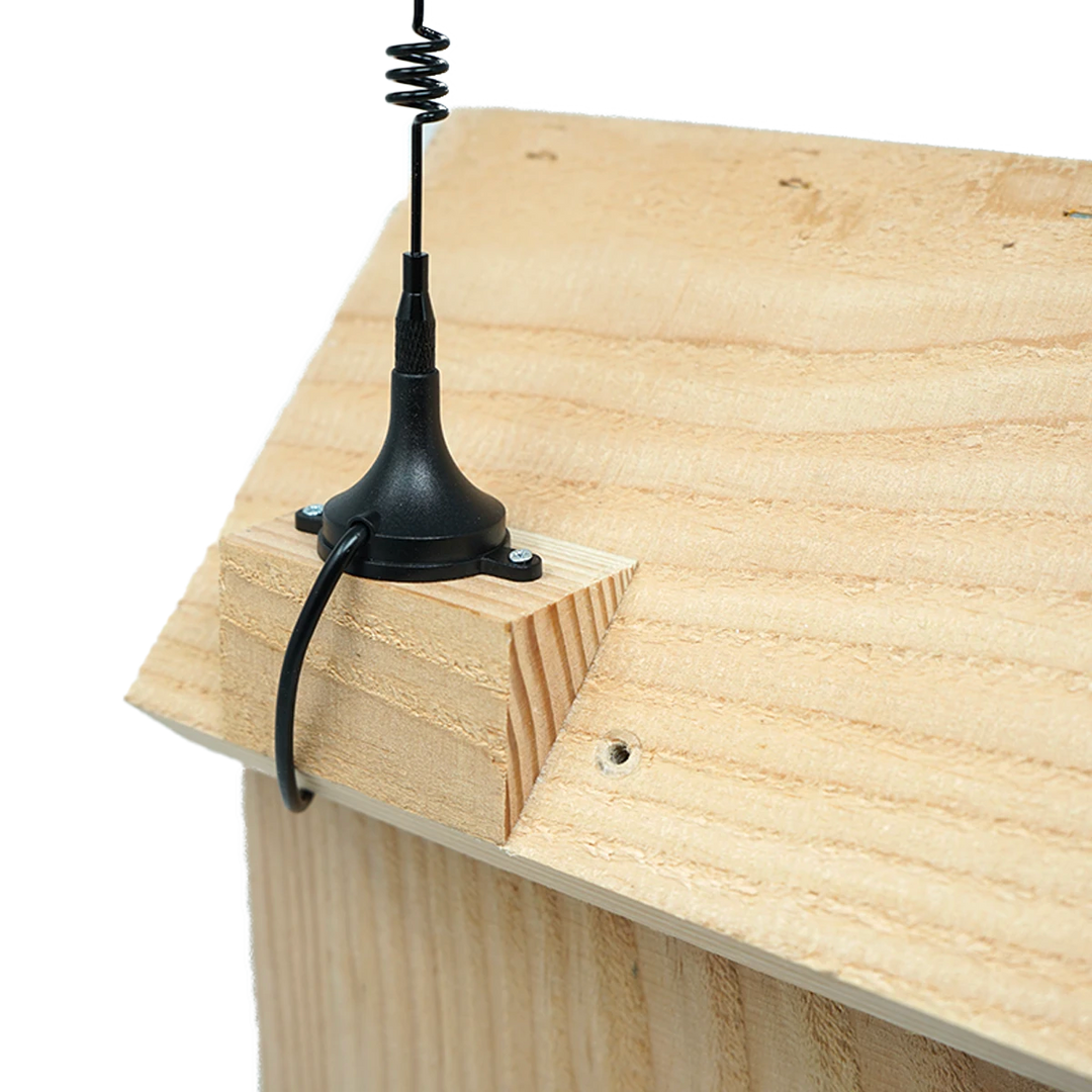 NatureSpy WiFi Solar Nestbox Cam