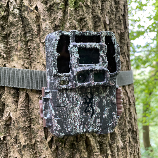 Photo of Dark Ops Pro DCL Nano Trail Camera strapped to a tree