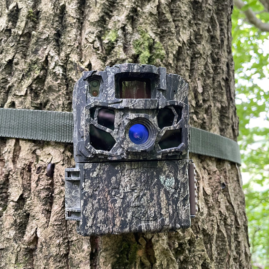 The Dark Ops 5FHDR trail camera securely strapped to a tree using the provided strap, blending into the natural environment with its camouflage design.