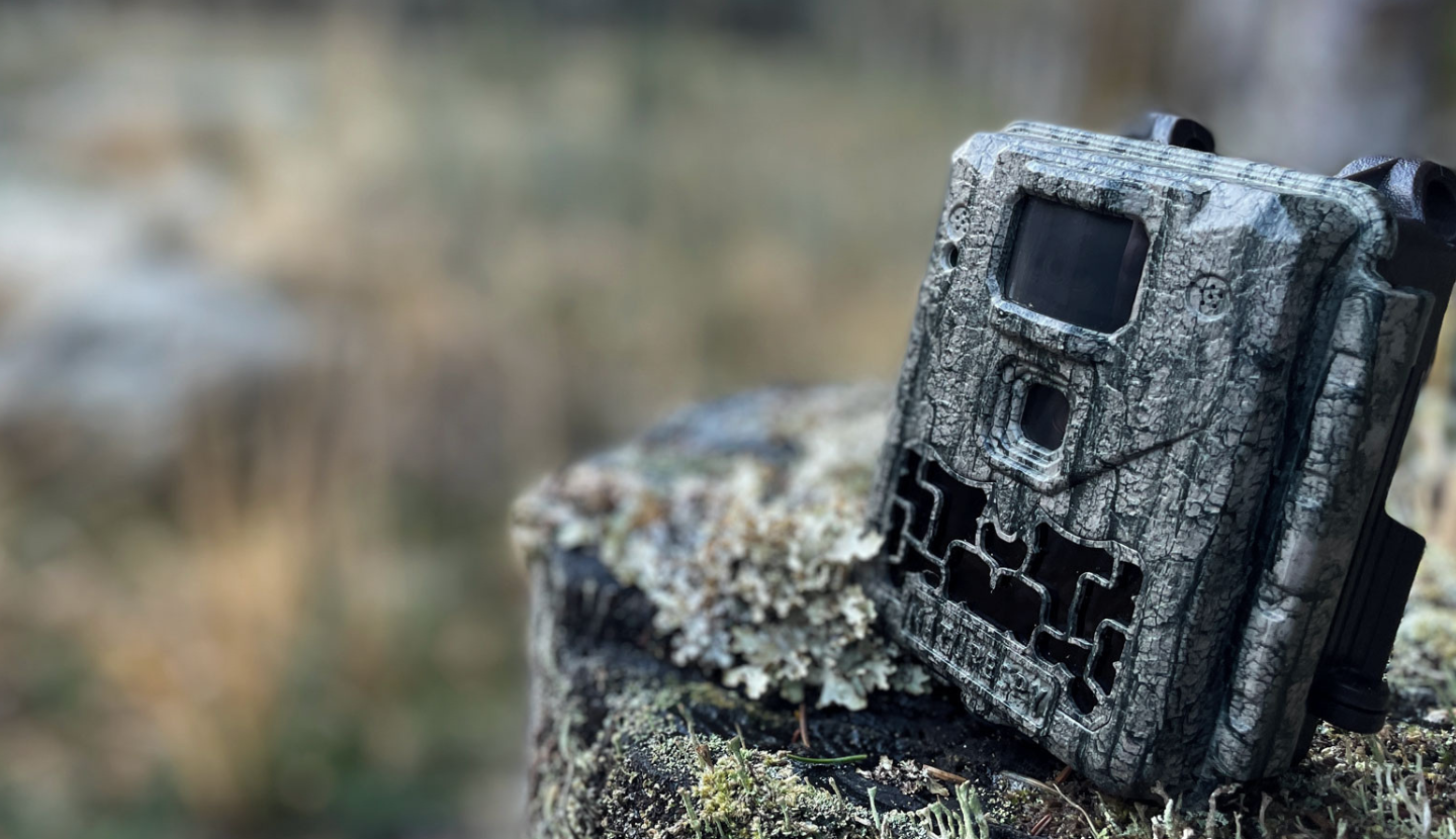 Top best wireless trail camera for the money Online