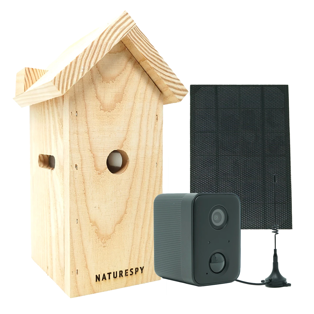 NatureSpy WiFi Solar Nestbox Bird camera