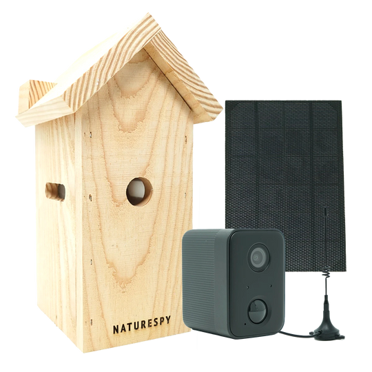 NatureSpy WiFi Solar Nestbox Bird camera