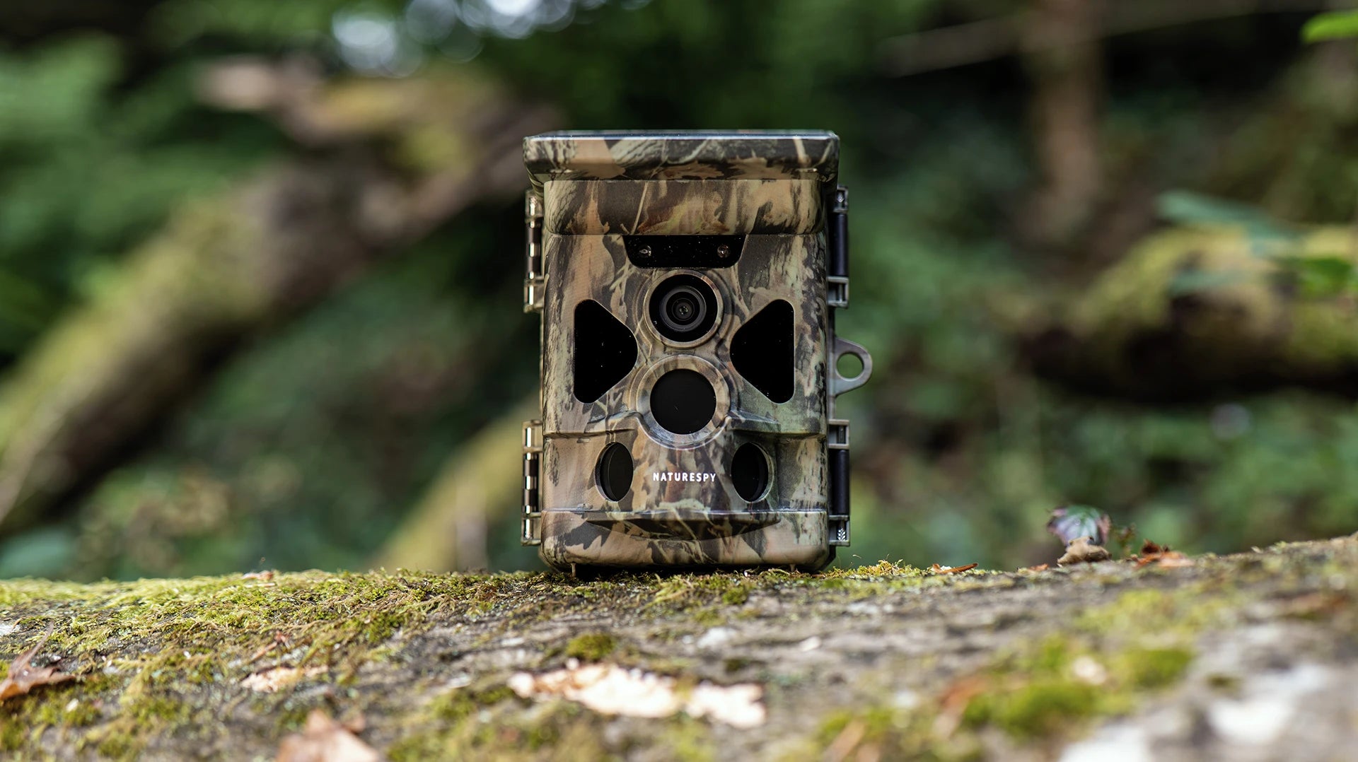 NatureSpy Helarctos WiFi Solar trail camera on a log in woodland