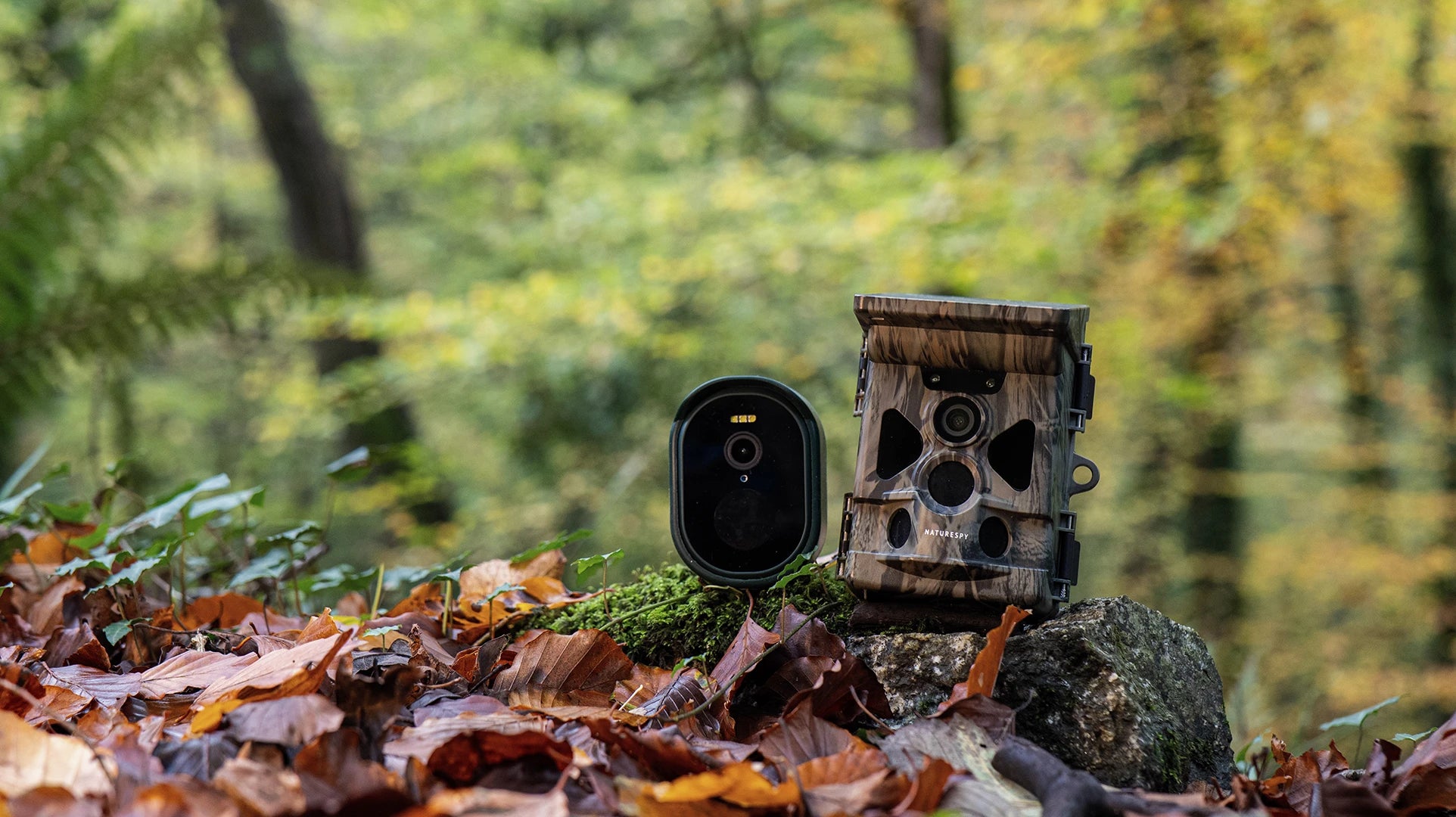 Bestselling wildlife cameras
