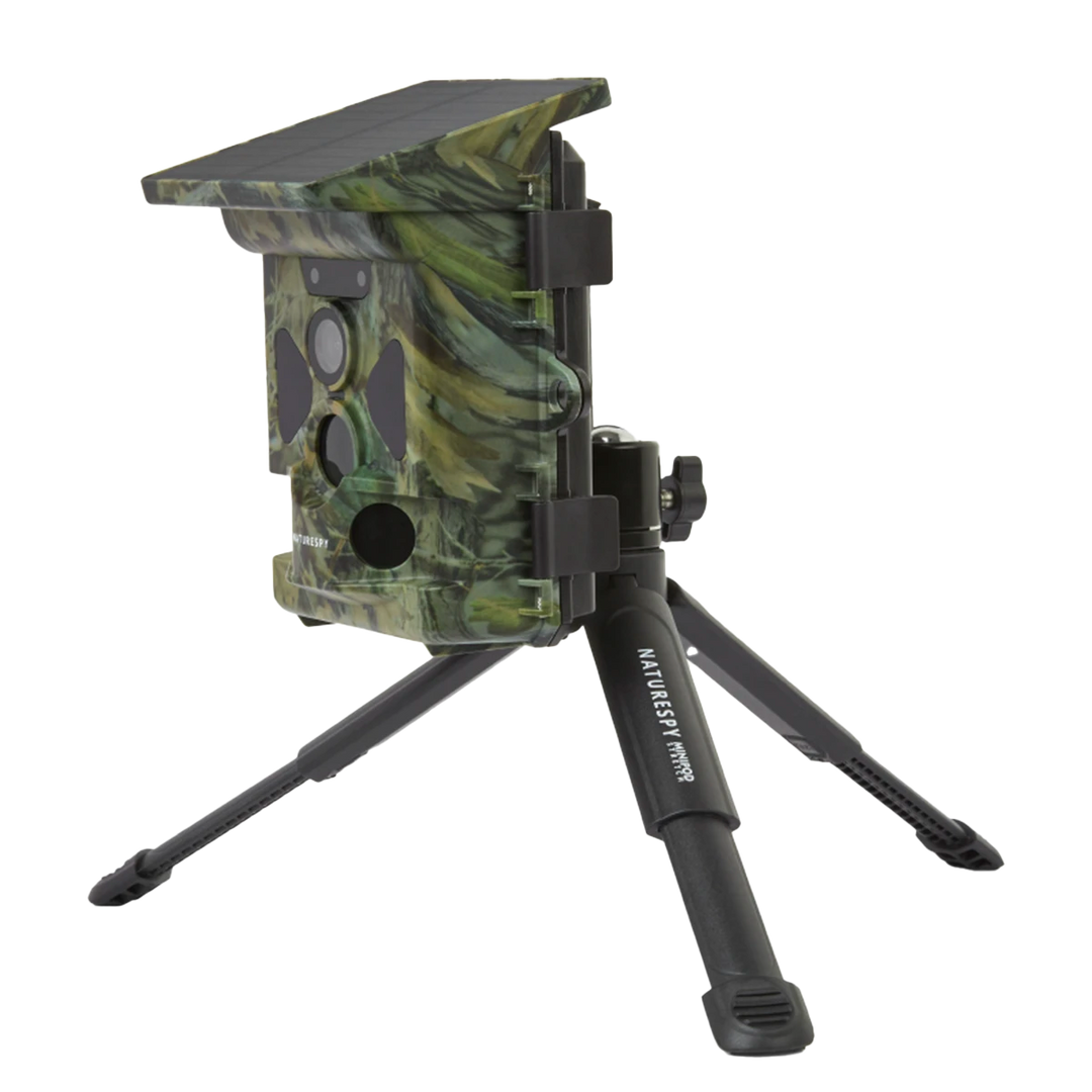 NatureSpy Helarctos WiFi Solar wildlife camera on MiniPod Stretch