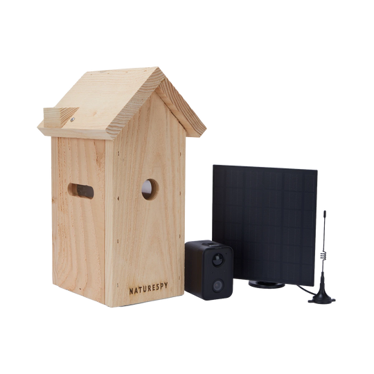 NatureSpy WiFi Solar Nestbox Cam – Full Kit with Nest Box, Camera & Solar Panel