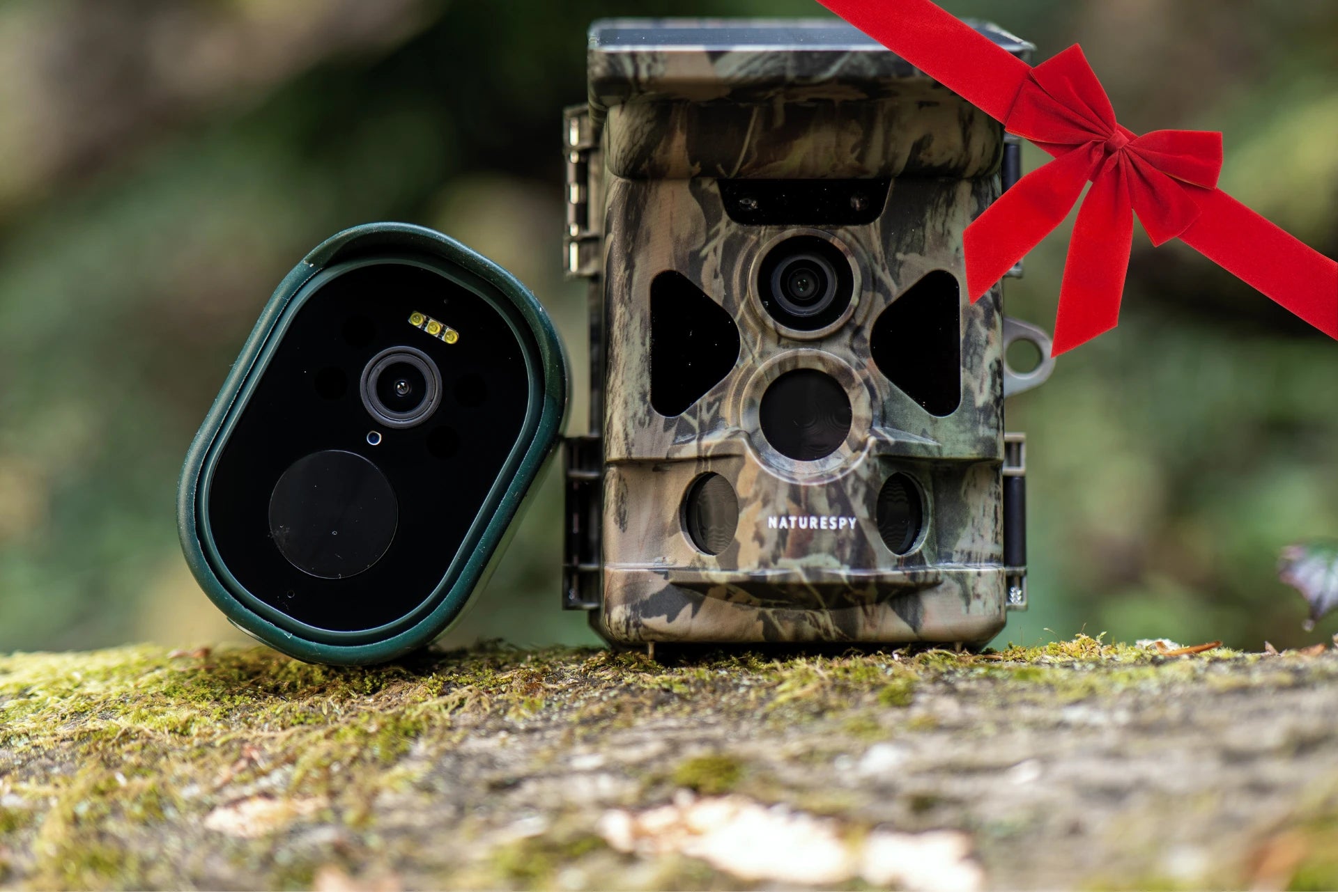 NatureSpy Christmas Wildlife Camera gift guide