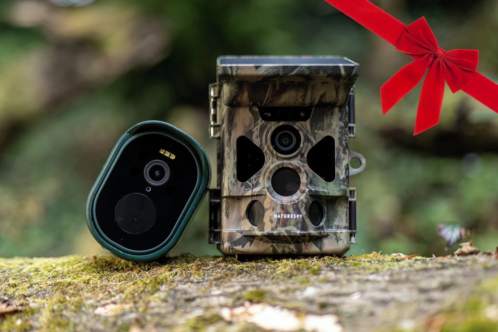 NatureSpy Christmas Wildlife Camera gift guide