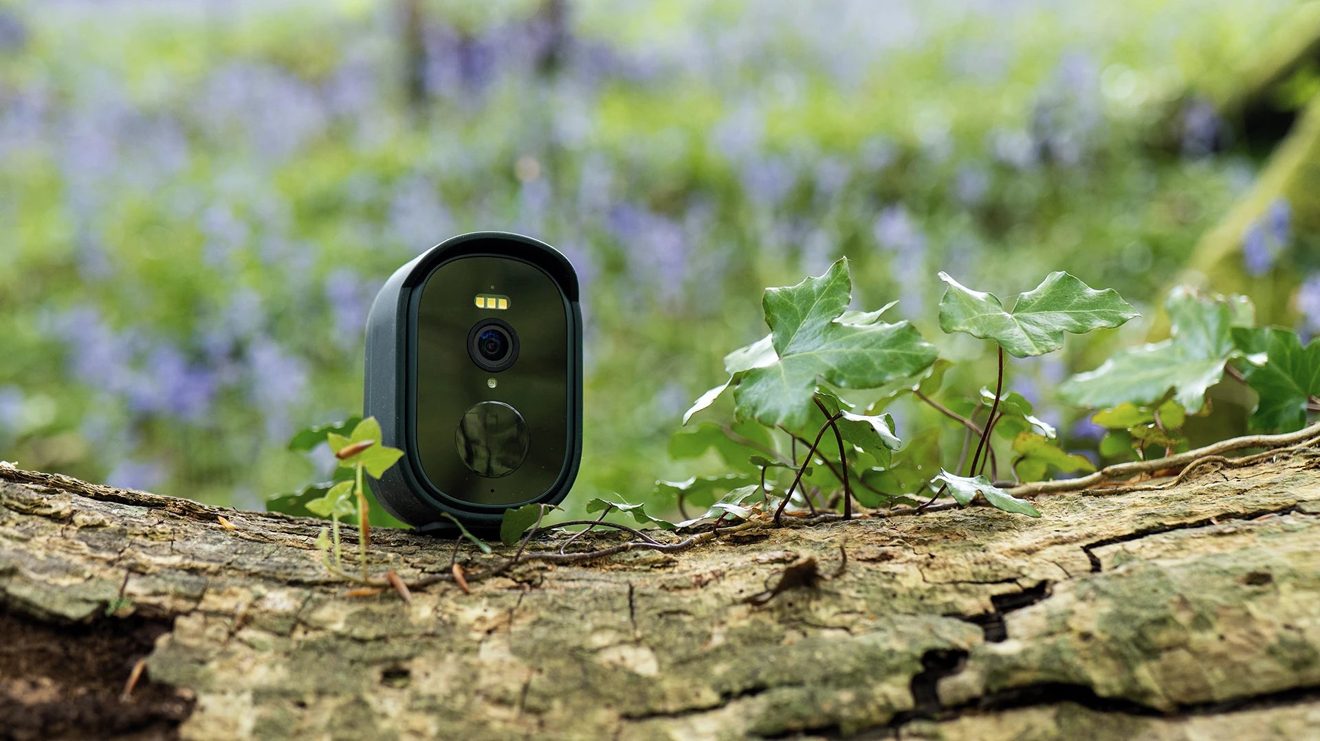 NatureSpy WiFi WildCam 3 garden wildlife camera on a log in bluebells