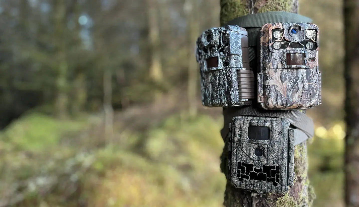 Wildlife Trail Cameras & Camera Traps – NatureSpy