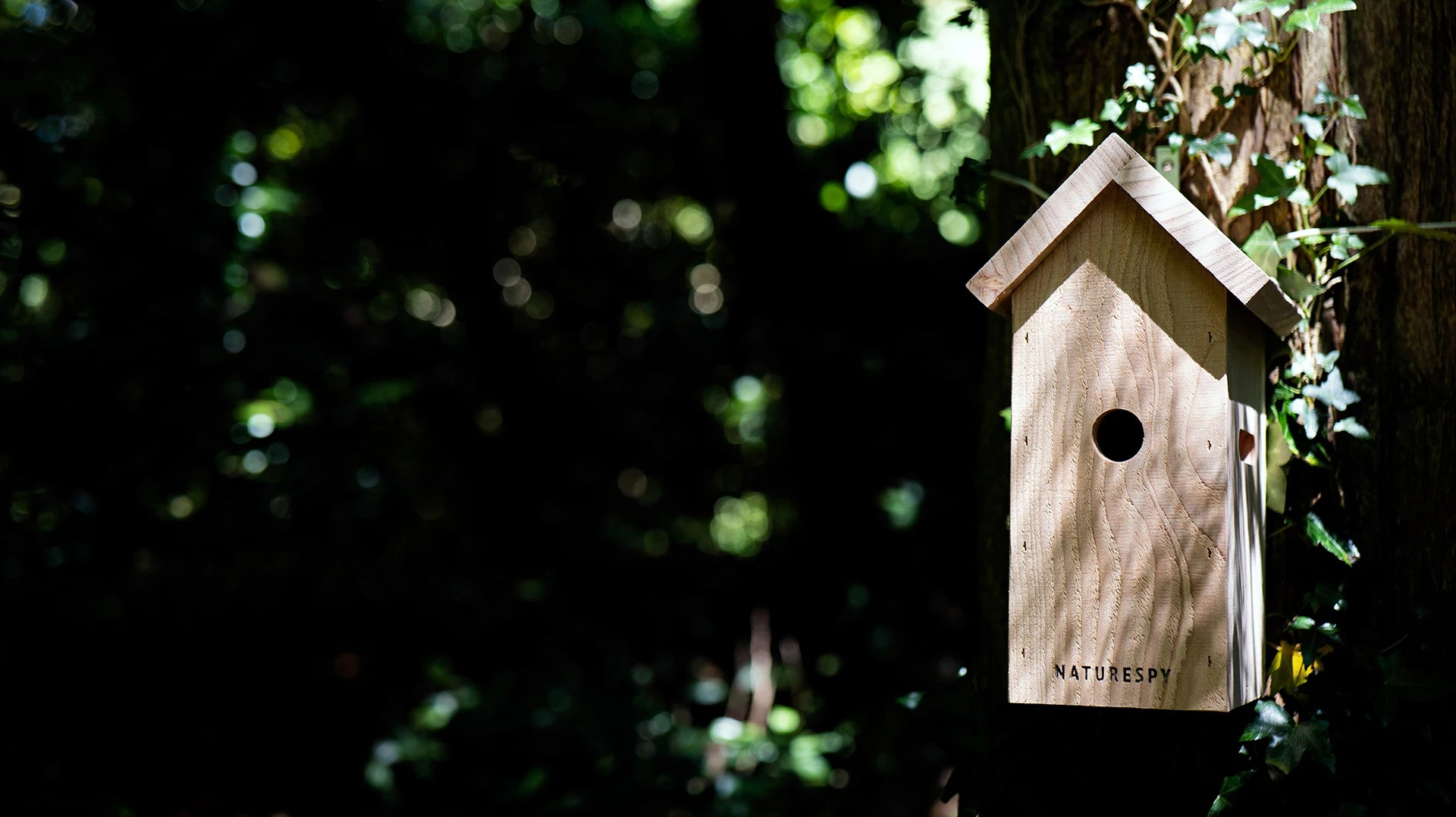 NatureSpy Nestbox Bird Wifi bird camera with solar power